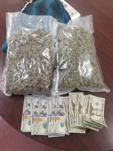 smell k9 waverly caught