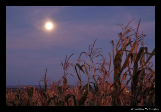 A rare Friday the 13th Full Harvest Moon - Scioto Post