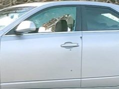 Two Vehicles Struck by Gunfire on I-71 South Near Grove City, Sheriff Heads Caution