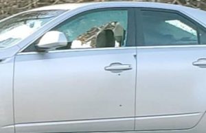 Two Vehicles Struck by Gunfire on I-71 South Near Grove City, Sheriff Heads Caution