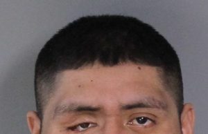 Grove City OH- City Police Team With Columbus Police To Apprehend Purse Snatcher