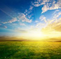 Chillicothe OH- Travis A. Hayburn (December 16, 1993 – February 12, 2020)