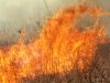 ODNR Warns Ohioans About Fall Wildfire Risks and Outdoor Burning Rules