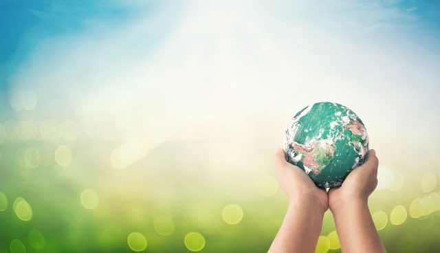 World environment day concept