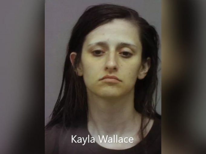 Nelsonville OH One Arrested and One Escaped After Lengthy Pursuit of