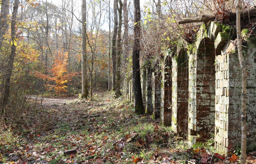 Celebrating the 10th Anniversary of Vinton Furnace State Forest