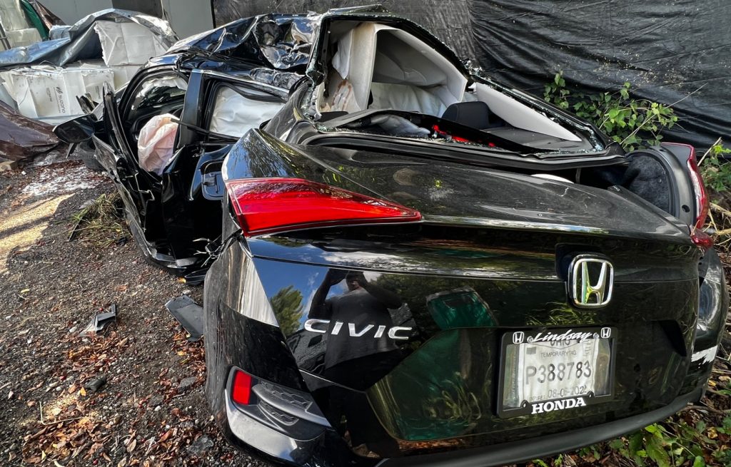 Police Say A Cicada Is Responsible For A Car Crash In Ohio