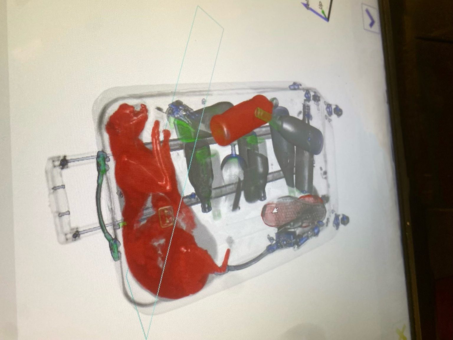 TSA Finds Orange Cat in Baggage Screening Process Scioto Post