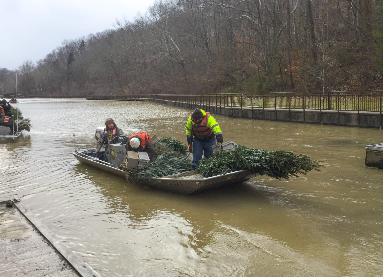 Wayne National Forest Sinks Christmas Trees for Fish Habitat Scioto Post