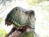 Columbus Zoo Lantern Festival Returns With New Dinosaur Displays and Interactive Experiences