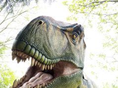 Columbus Zoo Lantern Festival Returns With New Dinosaur Displays and Interactive Experiences