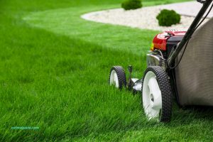 Greenfield Police Department Offers Free Lawn Care Services for Seniors and Disabled Veterans