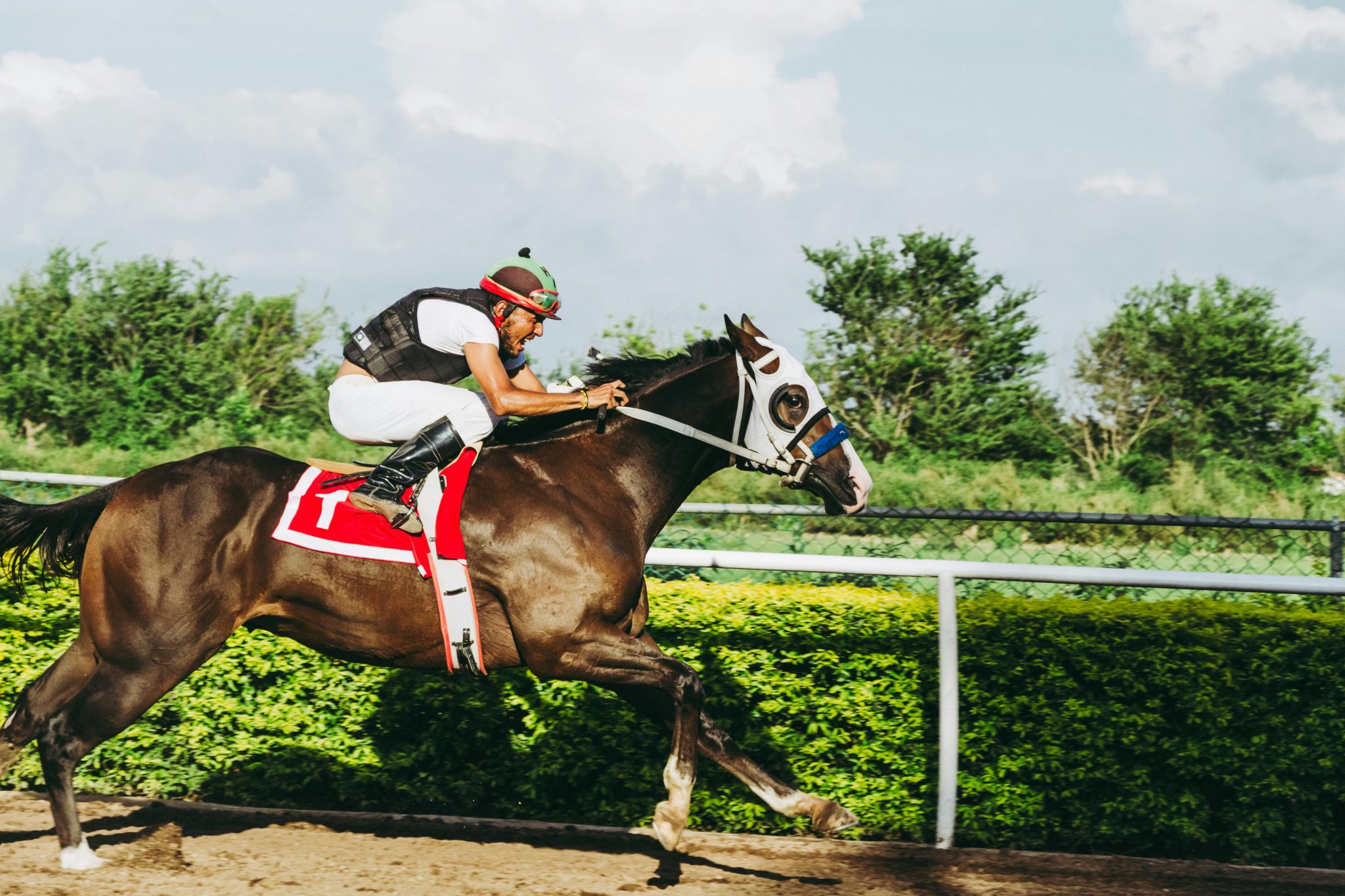 2024 Breeders' Cup Juvenile Get To know Citizen Bull Scioto Post