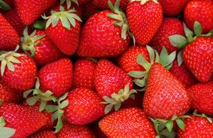 Ross County Farm Announces No Strawberry Crop for 2025 Due to Plant Shortage and Disease