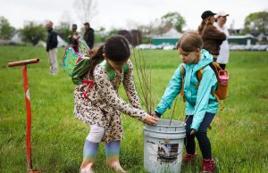 Logan to Host Tree Planting Event as Part of ODNR and Girl Scouts Conservation Initiative