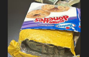 Drug Bust Uncovers Stash in Doughnut Box”A doughnut box? Really? Thats Where We Looked First!