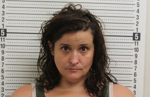 Ross County – Female Driver Arrested After Pursuit on US-23; Passenger Fled on Foot
