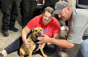 Miracle in Lancaster: Community Unites and Finds Scooby after Searching for Days after Flood