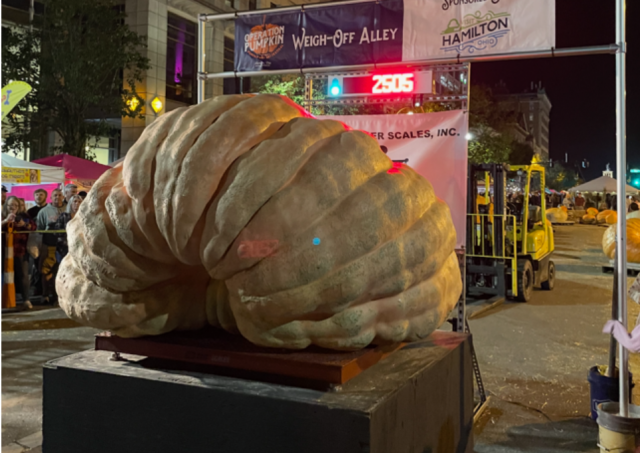 Screenshot-2025-10-14-095138