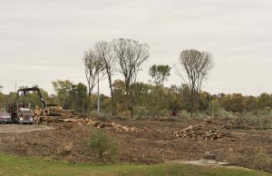 Circleville Clears Trees Near Wastewater Treatment Plant to Improve Safety and Security