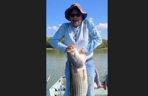 71 Year OId Ohio Angler Lands Record-Breaking Striped Bass with Thin Line