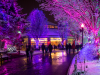 Wildlights Returns for 37th Year at Columbus Zoo with Dazzling New Displays
