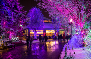Wildlights Returns for 37th Year at Columbus Zoo with Dazzling New Displays