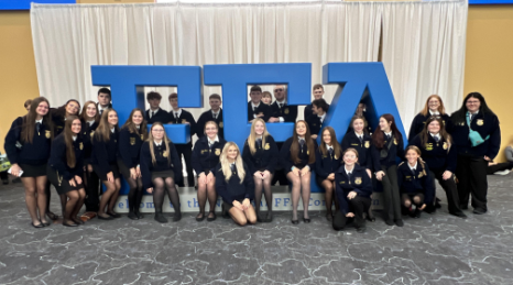 Screenshot-2025-11-17-103716