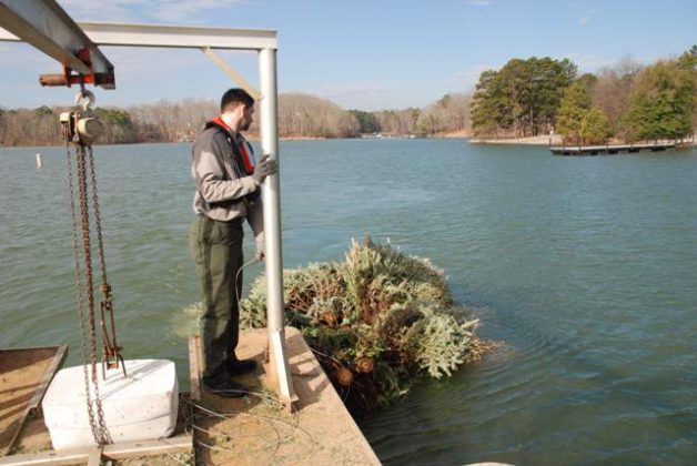 12237419423_036b92d460_z-628x420