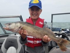 Strong 2025 Lake Erie Fish Hatch Forecasts Excellent Walleye, Perch Fishing Ahead