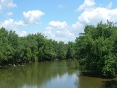 Ohio River Foundation Awarded $1.4 Million Grant to Create Wetlands Along Scioto River