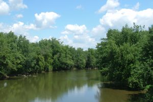 Ohio River Foundation Awarded $1.4 Million Grant to Create Wetlands Along Scioto River