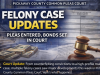 Pickaway County Common Pleas Court: Pleas Entered, Bonds Set in Multiple Felony Cases
