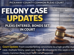 Pickaway County Common Pleas Court: Pleas Entered, Bonds Set in Multiple Felony Cases