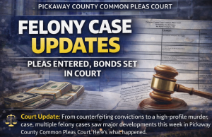 Pickaway County Common Pleas Court: Pleas Entered, Bonds Set in Multiple Felony Cases