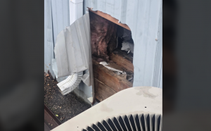 Thieves Cut Hole in Wall of Ashville NAPA Auto Parts Store; Reward Offered