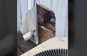 Thieves Cut Hole in Wall of Ashville NAPA Auto Parts Store; Reward Offered