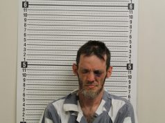 Warrant Suspect Found Hiding Under Clothes in Vehicle Subdued After Refusing to Come Out