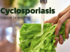 Ross County Health Report Cyclosporiasis Case Amid Massive 17-State Outbreak Linked to Imported Lettuce