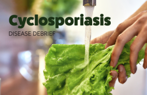 Ross County Health Report Cyclosporiasis Case Amid Massive 17-State Outbreak Linked to Imported Lettuce