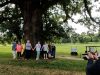 Trees in September for “America 250 Ross County”