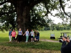 Trees in September for “America 250 Ross County”