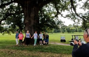Trees in September for “America 250 Ross County”