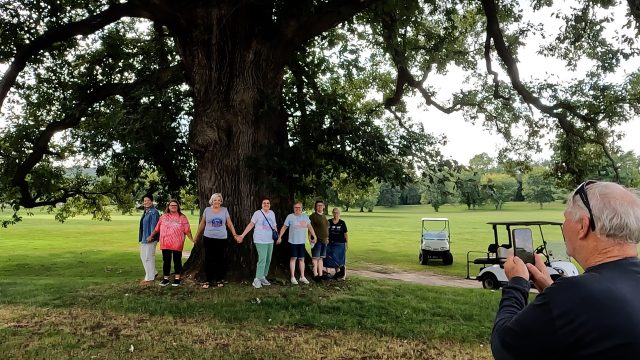 2026-09-12 15.37.53 VA tree 2 05.50