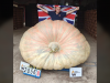 British Gardener Sets World Record With 2,856-Pound Giant Pumpkin