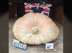 British Gardener Sets World Record With 2,856-Pound Giant Pumpkin