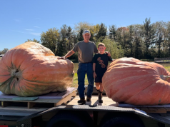 Heavyweight Dreams: Grandfather and Grandson Aim for Record Books at Circleville Pumpkin Show